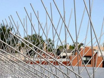 Bird Spikes in Secunderabad Bird Spikes in Secunderabad fitting reference