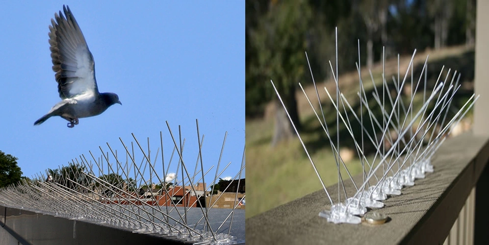 Bird Spikes in Secunderabad Bird Spikes in Secunderabad