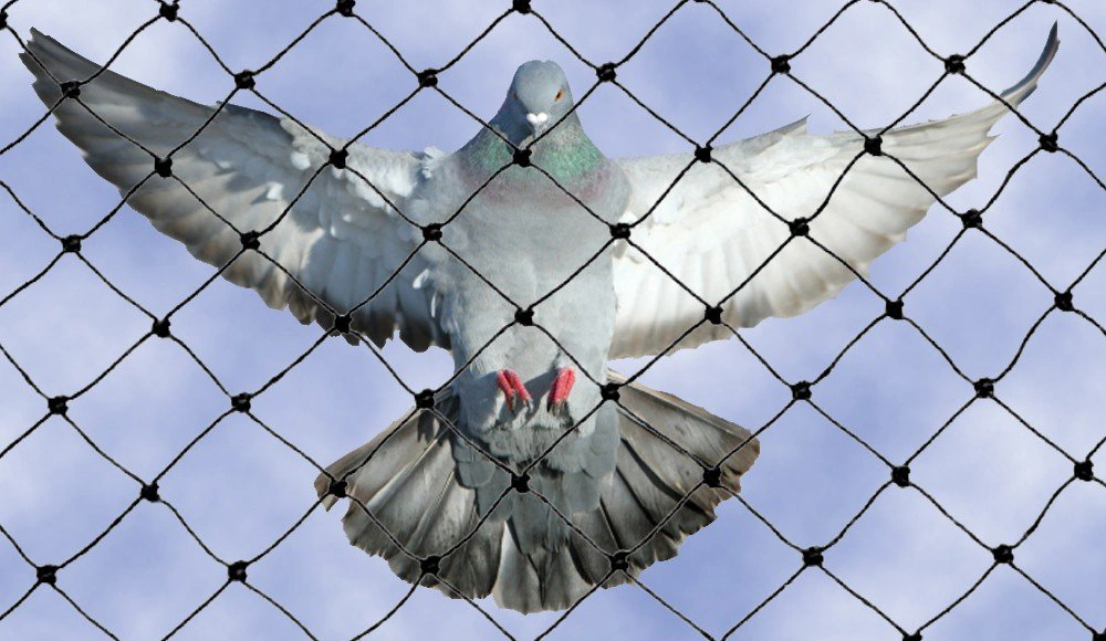 Pigeon Nets Pigeon Nets material and edge fixing