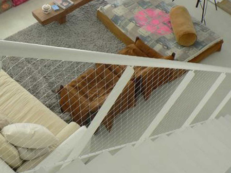 Staircase Safety Net